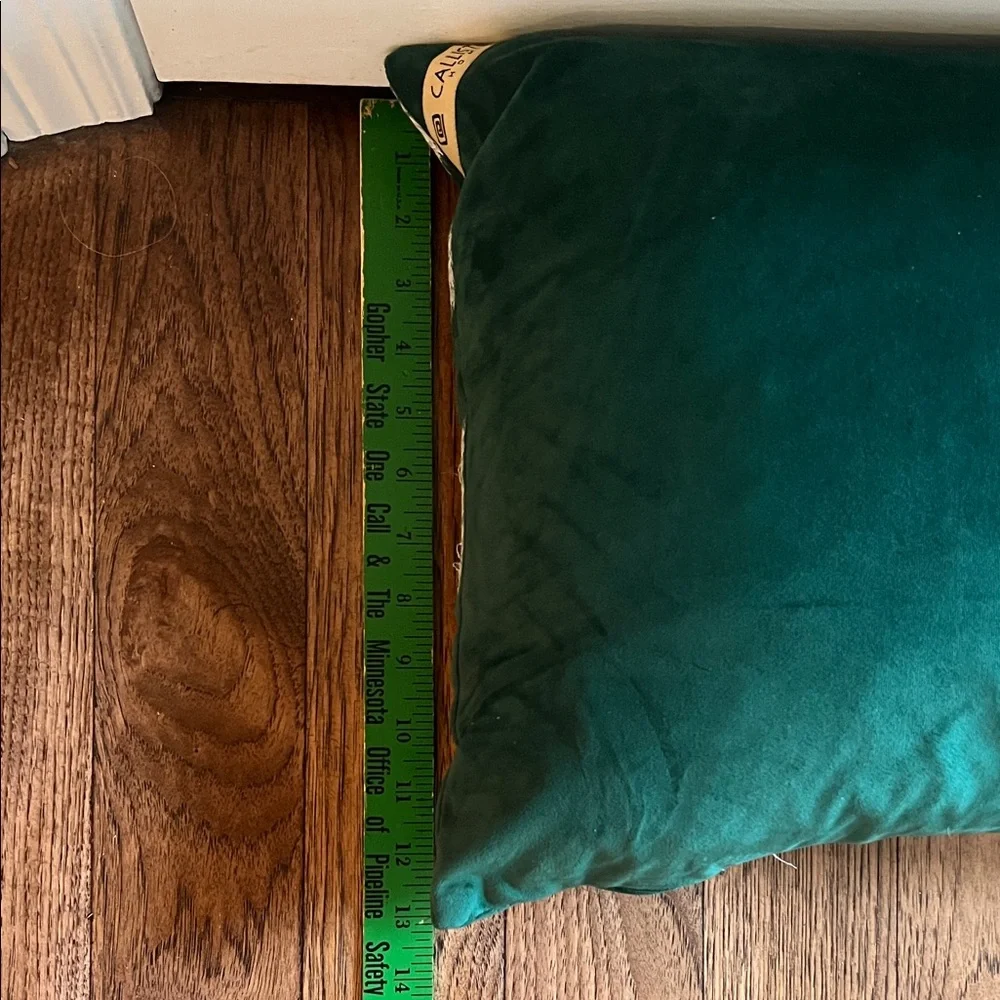 Callisto Home Emerald Green Velvet Pillow
